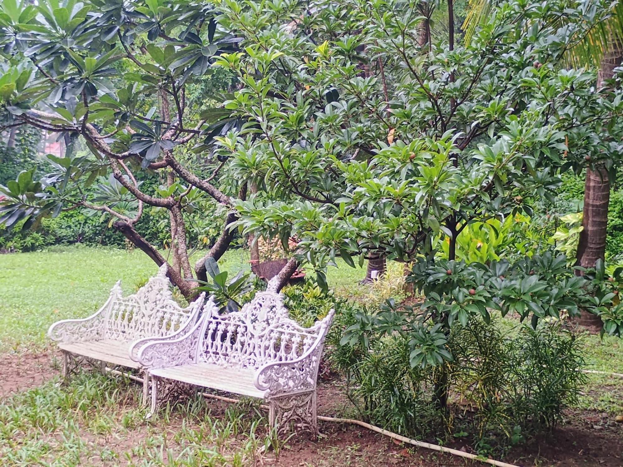 נגאון Banyan House - Luxurious 4 Bedroom Villa On One Acre, Near The Beach מראה חיצוני תמונה